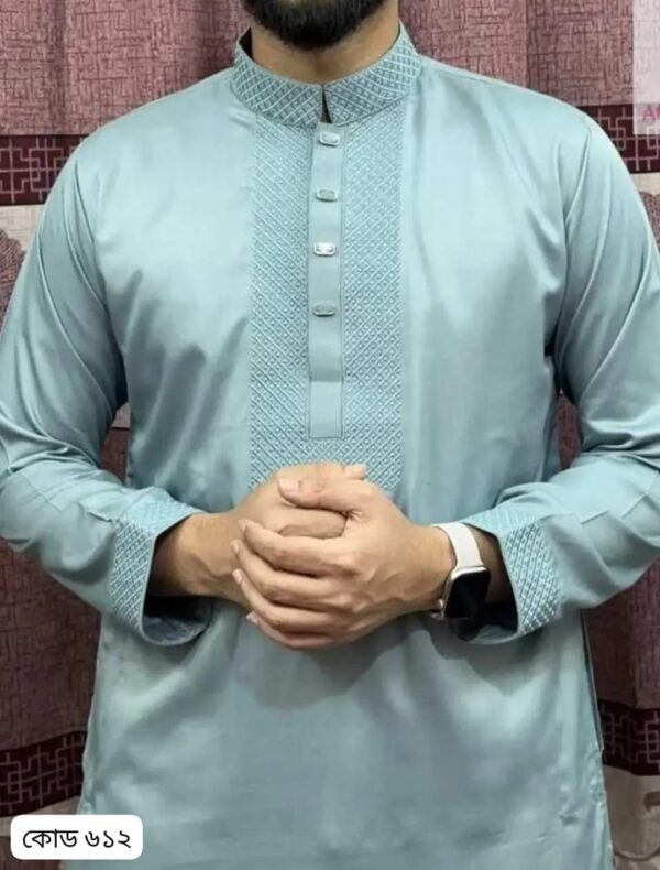 Exclusive Star Panjabi